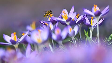 Die Temperaturen in Bayern steigen weiter an.