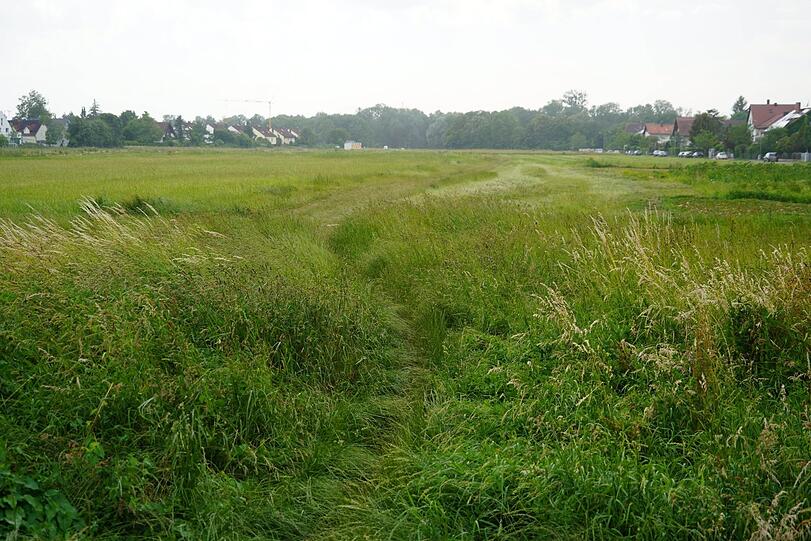 Um diese Grünfläche wird gestritten.