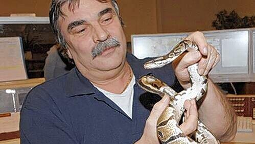 Ein Feuerwehrmann mit dem etwa einen Meter langen Reptil. Ein Feuerwehrmann mit dem etwa einen Meter langen Reptil.
