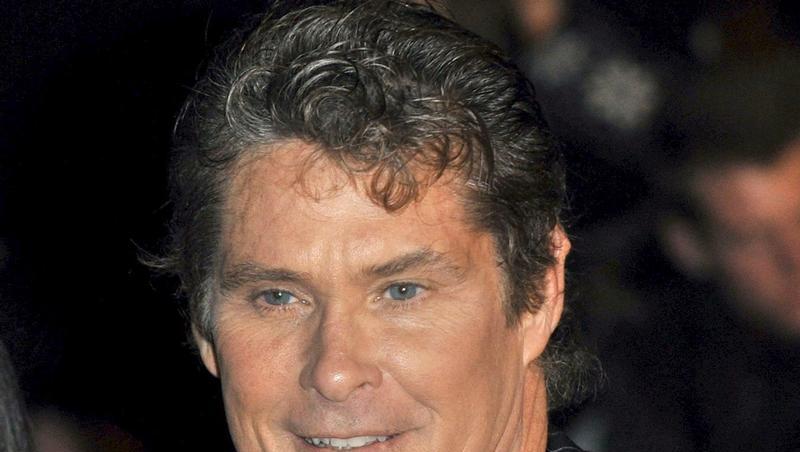 David Hasselhoff David Hasselhoff