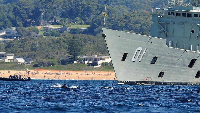 Delfine verzögern die Versenkung eines australisches Kriegsschiffs. Delfine verzögern die Versenkung eines australisches Kriegsschiffs.