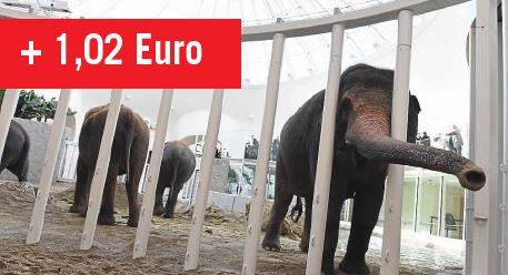 TIERPARK HELLABRUNN: Mit zwei Millionen Besuchern war der Tierpark Hellabrunn 2015 bei den Münchnern nicht ganz so beliebt wie im Jahr zuvor. Die Stadt musste trotzdem nur mit 2,1 Millionen Euro aushelfen. Das macht pro Besucher 1,02 Euro.