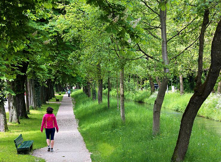 Naherholung: In Obermenzing ist es schön grün.