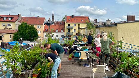 Auf der Dachterrasse der "F&auml;rberei" in Untergiesing garteln Viertelbewohner regelm&auml;&szlig;ig zusammen. Beim "Tag der M&uuml;nchner Dachg&auml;rten" am Samstag (4.7.) d&uuml;rfen Besucher sich das von 11 bis 15 Uhr anschauen.