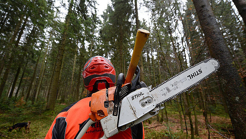Gleich zwei tödliche Unglücke ereigneten sich am Wochenende bei Holzarbeiten in Bayern. (Symbolbild) Gleich zwei tödliche Unglücke ereigneten sich am Wochenende bei Holzarbeiten in Bayern. (Symbolbild)