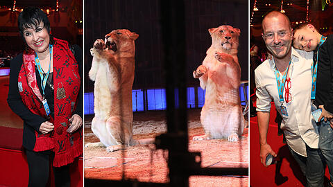 Am Sonntag feierte der Circus Krone in München die Vorstellung für das dritte und letzte Winterprogramm für dieses Jahr. Das wollten sich auch die Promis nicht entgehen lassen.