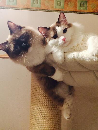 Nelio & Armani