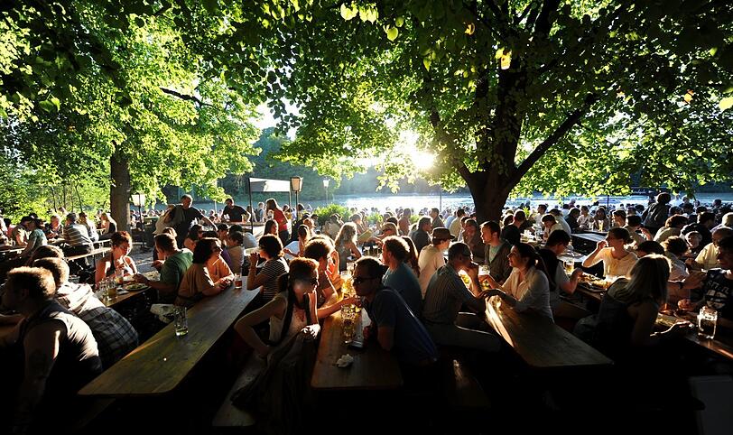 Menschen sitzen im Biergarten am Seehaus im Englischen Garten unter Laubbäumen. Dass diese dort stehen, hat einen Grund.