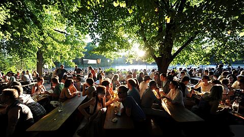 Menschen sitzen im Biergarten am Seehaus im Englischen Garten unter Laubbäumen. Dass diese dort stehen, hat einen Grund.