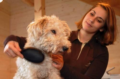 Bürsten-Massage nach dem Bad &ndash; das gefällt Lana.