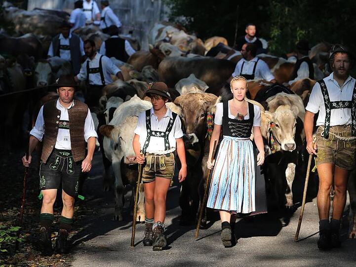 Hirten treiben im Vilstal ihre Herden ins Tal. Foto: Karl-Josef Hildenbrand/dpa/Archivbild