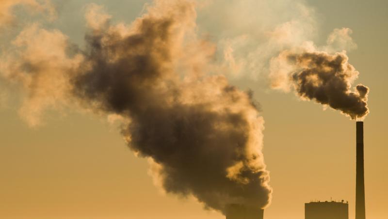 Wegen der gesunkenen Exportüberschüsse und niedrigerer Großhandelspreise verdienten die Stromproduzenten mit ihren Lieferungen ins Ausland den Angaben zufolge deutlich weniger. Wegen der gesunkenen Exportüberschüsse und niedrigerer Großhandelspreise verdienten die Stromproduzenten mit ihren Lieferungen ins Ausland den Angaben zufolge deutlich weniger.