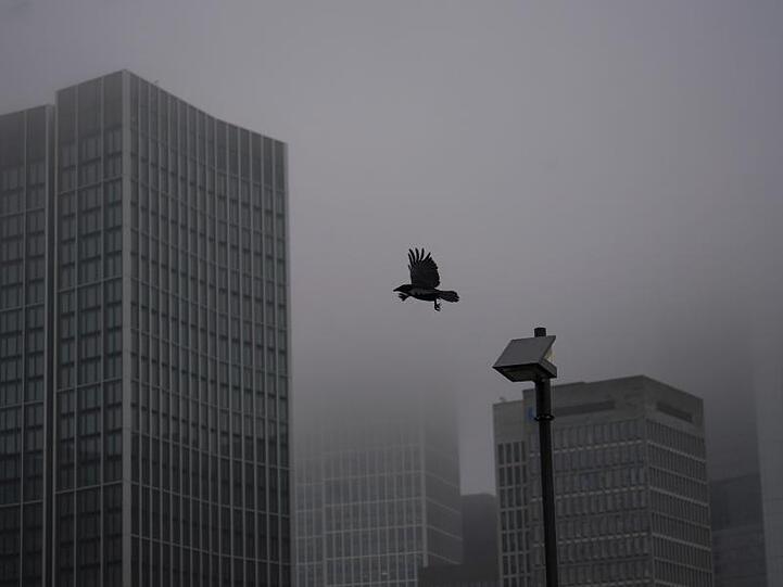 Ein Krähe startet von einer Laterne vor den Frankfurter Banken-Hochhäusern, die bei Nieselregen teilweise im Dunst verschwinden.