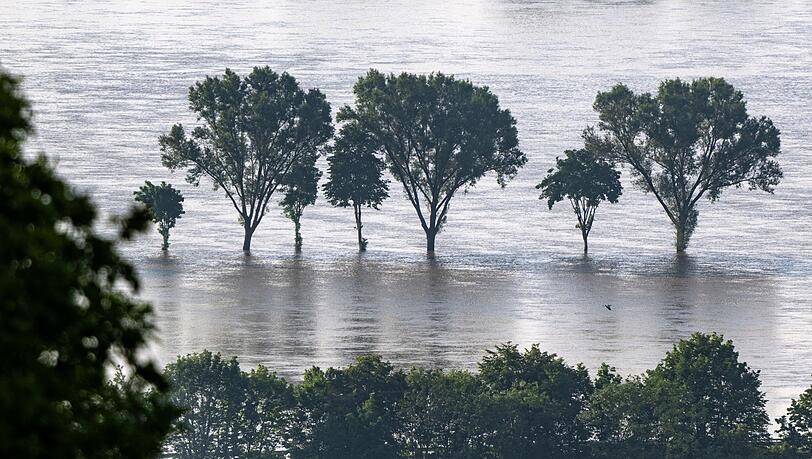 Bäume stehen im Hochwasser der Donau. In einigen Hochwassergebieten in Süddeutschland entschärft sich die Lage, an der unteren Donau bleibt sie gespannt.