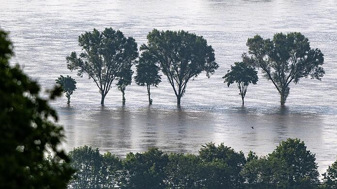 Bäume stehen im Hochwasser der Donau. In einigen Hochwassergebieten in Süddeutschland entschärft sich die Lage, an der unteren Donau bleibt sie gespannt.