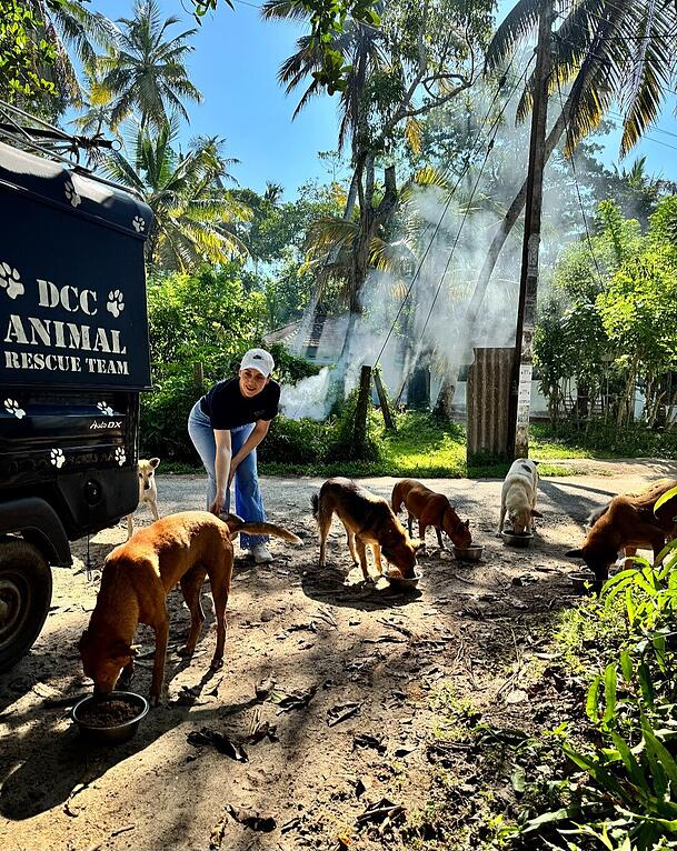 Anita Eichhorn teilt in der AZ Eindr&uuml;cke aus Sri Lanka. Dort unterst&uuml;tzt sie das Team der "Dog Care Clinic" bei der Versorgung von Stra&szlig;enhunden.