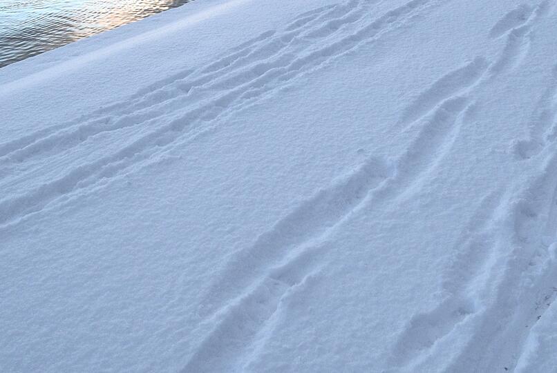 Verräterische Spuren im Schnee