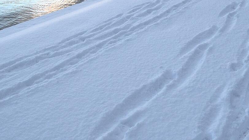 Verräterische Spuren im Schnee Verräterische Spuren im Schnee
