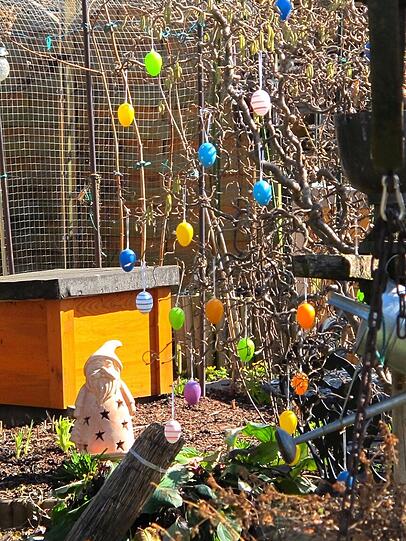 AZ-Leser Djordje Matkovic hat in der Gartenlaube in Moosach die Frühlingsboten fotografiert. Die Bilder.