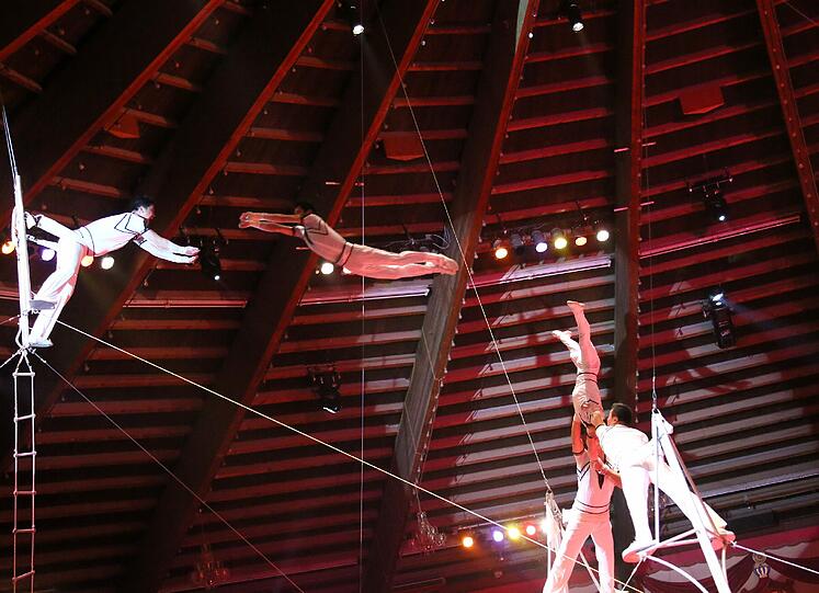 Bilder von der Weihnachtspremiere im Circus Krone