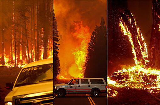 Das Feuer in Kalifornien hat mittlerweile ein Fläche von 500 Quadratkilometer erreicht und bedroht sogar den Yosemite-Nationalpark. Sehen Sie hier die Bilder der Feuersbrunst!