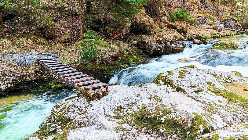 Nur diese eine Brücke gibt es unterwegs, mehrere Mal muss man durch den Bach waten. Nur diese eine Brücke gibt es unterwegs, mehrere Mal muss man durch den Bach waten.