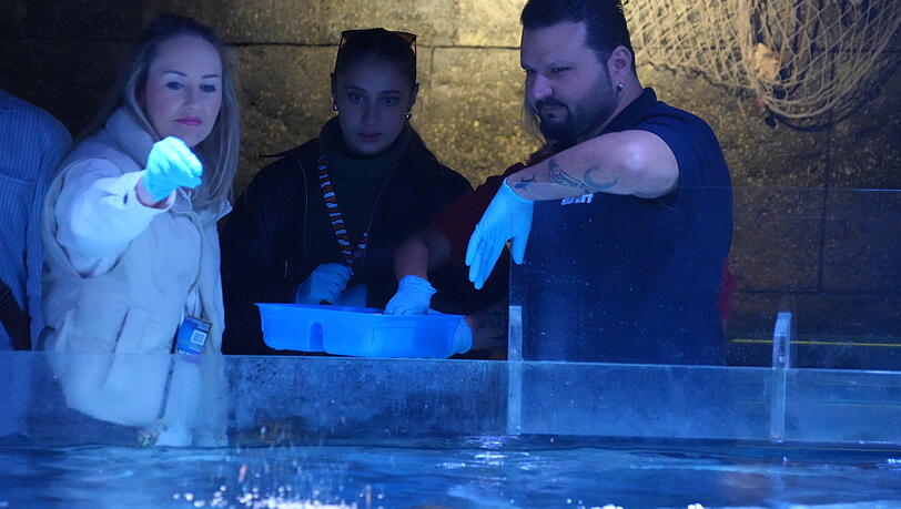 Haie und Rochen f&uuml;ttern im Mittelmeerbecken: die erste Station der Jubil&auml;umstour im Sealife mit Kurator und Tauchprofi Serdar Karag&ouml;z (rechts).