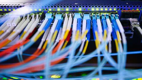 Was w&uuml;rde passieren, wenn von der AfD eingesetzte Beamte auf sicherheitsrelevante Daten zugreifen k&ouml;nnten, fragen sich Innenpolitiker anderer Parteien. (Symbolbild)