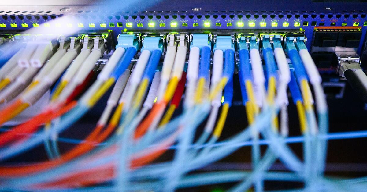 Sorge-um-Datenzugriff-Was-passiert-bei-einer-AfD-Regierung-