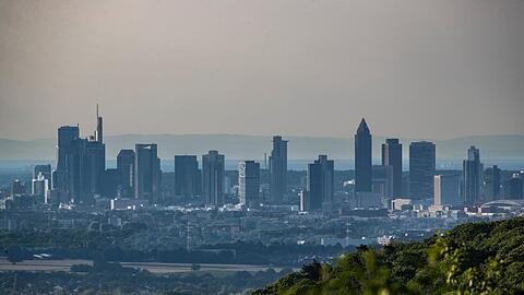 Der Umweltverband WWF kritisiert Banken f&uuml;r fehlende Klimaschutzbem&uuml;hungen