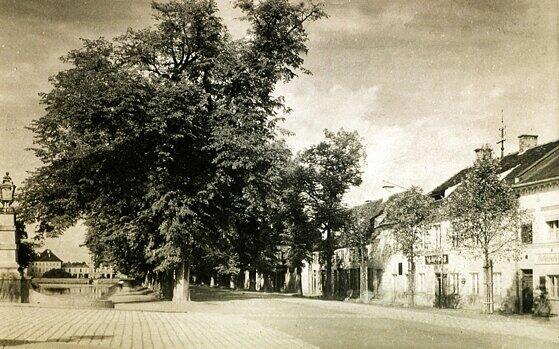 Die Nördliche Auffahrtsallee in den frühen 1930er-Jahren: Blick von der Ludwig-Ferdinand-Brücke nach Westen zum Schloss. Die ersten Häuser rechts wurden 1939 abgebrochen, damit die Menzinger Straße verbreitert werden konnte.