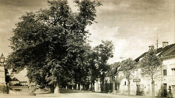 Die Nördliche Auffahrtsallee in den frühen 1930er-Jahren: Blick von der Ludwig-Ferdinand-Brücke nach Westen zum Schloss. Die ersten Häuser rechts wurden 1939 abgebrochen, damit die Menzinger Straße verbreitert werden konnte. Die Nördliche Auffahrtsallee in den frühen 1930er-Jahren: Blick von der Ludwig-Ferdinand-Brücke nach Westen zum Schloss. Die ersten Häuser rechts wurden 1939 abgebrochen, damit die Menzinger Straße verbreitert werden konnte.