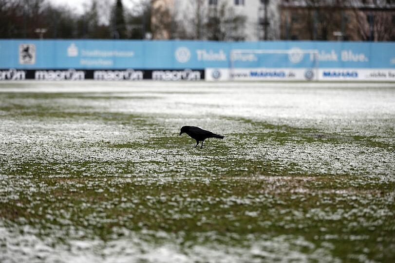 Kraftraum und Lauftraining anstelle von "echtem" Fußballtraining auf dem Rasen: Neu-Löwe Maximilian Beister und Kollegen konnten am Sonntag nicht auf dem Platz trainieren.