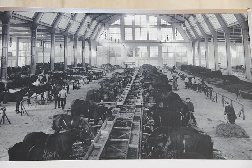 Die ursprüngliche Halle im Jahr 1914: Im größten Pferdestall der Stadt machte man hier für den Ersten Weltkrieg mobil.