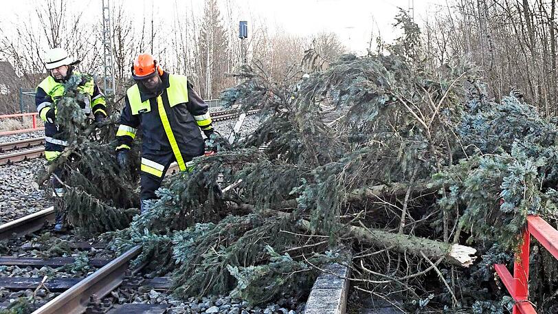 Weil der Baum auf den Gleisen landete, musste der Zugverkehr zwischen München und Holzkirchen eingestellt werden.