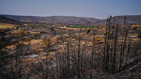 16.000 Hektar Fläche wurden von dem Waldbrand in Südfrankreich in Mitleidenschaft gezogen.