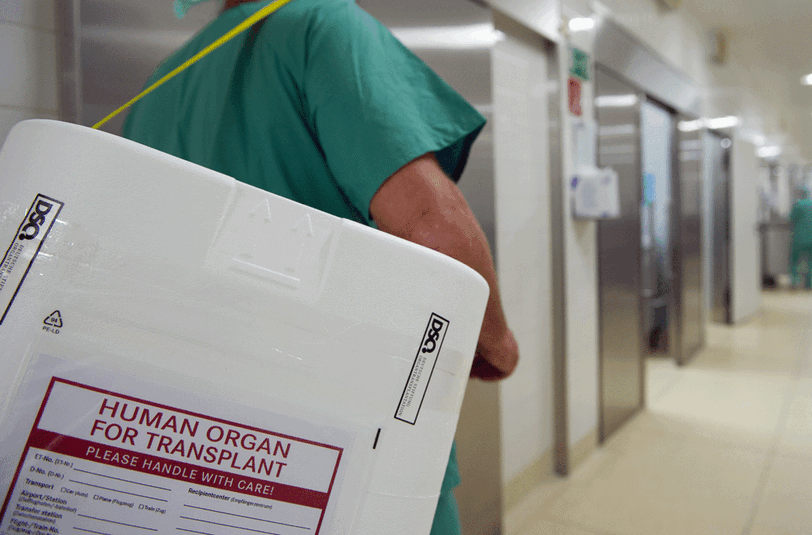 Ein Styropor-Behälter zum Transport von zur Transplantation vorgesehenen Organen.