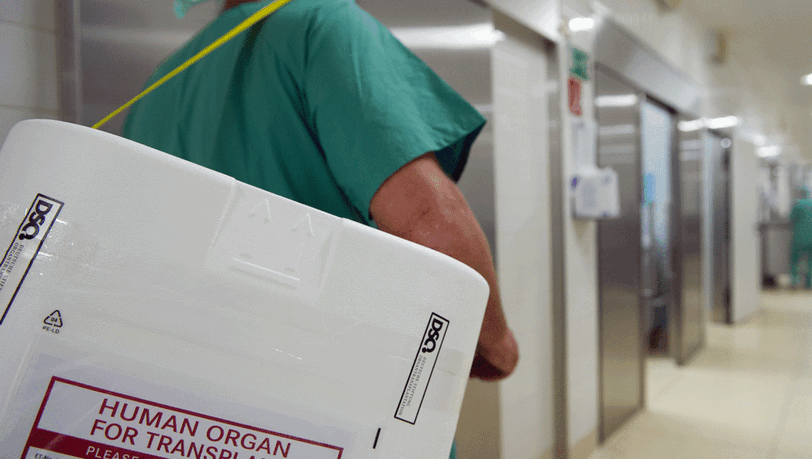 Ein Styropor-Behälter zum Transport von zur Transplantation vorgesehenen Organen. Ein Styropor-Behälter zum Transport von zur Transplantation vorgesehenen Organen.