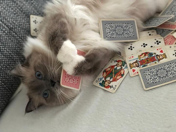 Nala