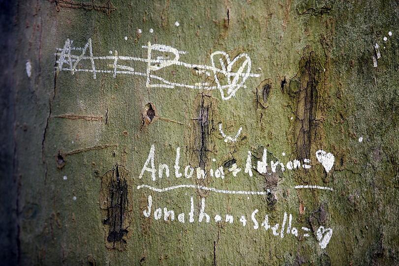 Liebes-Status: Für M + R ist's vorbei, dafür läuft's mit Antonia und Adrian.
