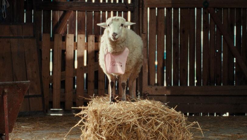 "Sheep": Schaf Oliver (gesprochen von Merlin Sandmeyer) hat die Wahrheit über das vermeintliche Paradies erkannt, doch niemand glaubt ihm. "Sheep": Schaf Oliver (gesprochen von Merlin Sandmeyer) hat die Wahrheit über das vermeintliche Paradies erkannt, doch niemand glaubt ihm.