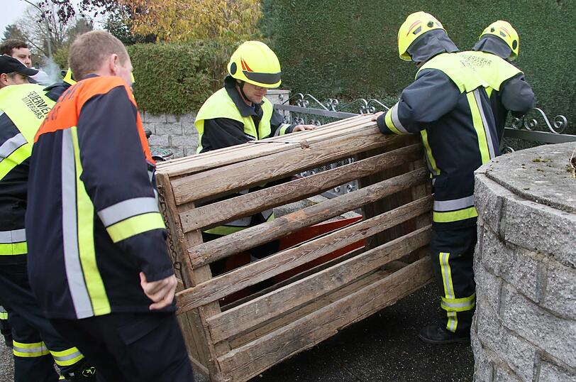 "Sissi" on Tour - die Bilder der Entdeckungsreise von Bayerns (spätestens jetzt) berühmtesten Hausschwein.