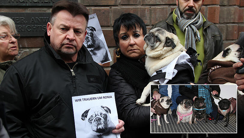 Trauern um Ronja: Kläger Jürgen P. mit Unterstützerin Uschi Ackermann vor dem OLG. Zum Prozess kam jede Menge mopsige Unterstützung. Trauern um Ronja: Kläger Jürgen P. mit Unterstützerin Uschi Ackermann vor dem OLG. Zum Prozess kam jede Menge mopsige Unterstützung.