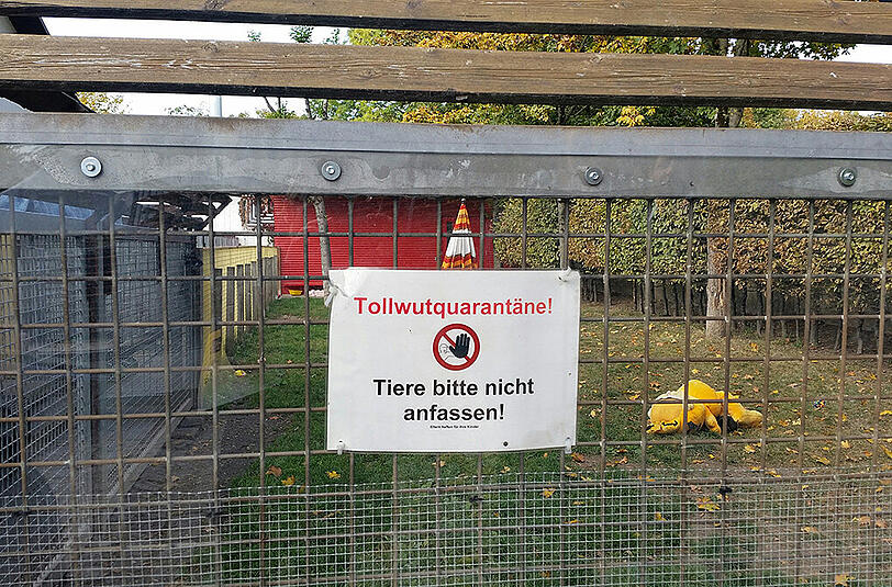 Der Quarantäne-Bereich des Münchner Tierheims wurde in den 50ern gebaut. Zeitgemäß ist die Anlage längst nicht mehr.