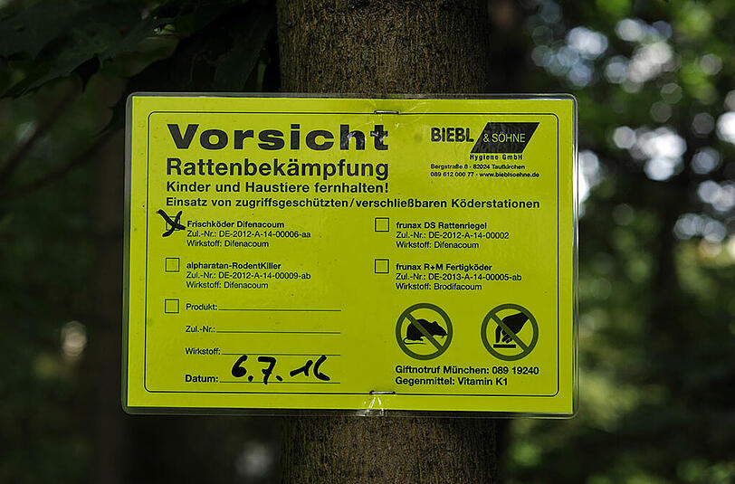 Und mittendrin Giftköder gegen die Ratten, die durch all den Müll angelockt werden.
