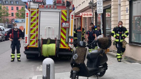 Der Besitzer rief die Feuerwehr - die kümmerte sich um den Schwarm.