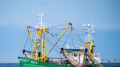 Das Umweltministerium spricht sich für den Erhalt sensibler Tierarten und Lebensräume in der Nordsee aus.