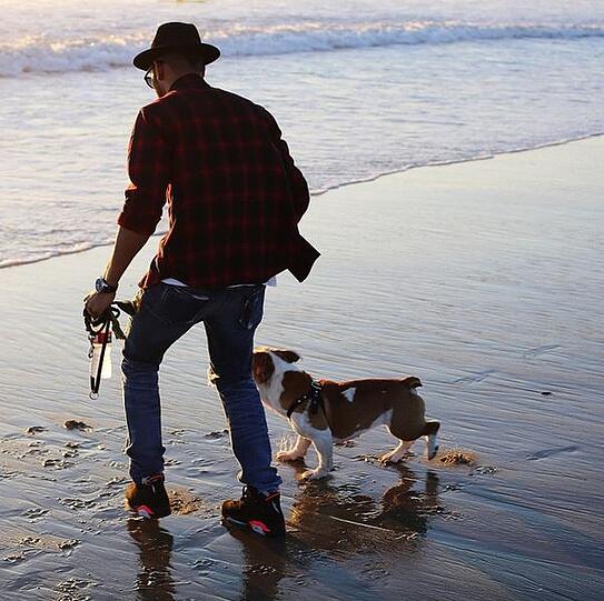 Lewis Hamilton entspannt mit seinem Hund Coco am Strand von Los Angeles