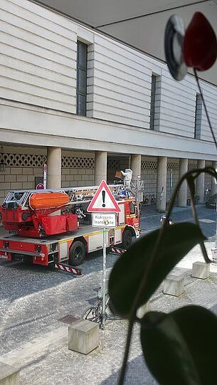 Rettung in zehn Meter Höhe: Ein Feuerwehrmann holt eine Bienenkönigin aus der Dachrinne.