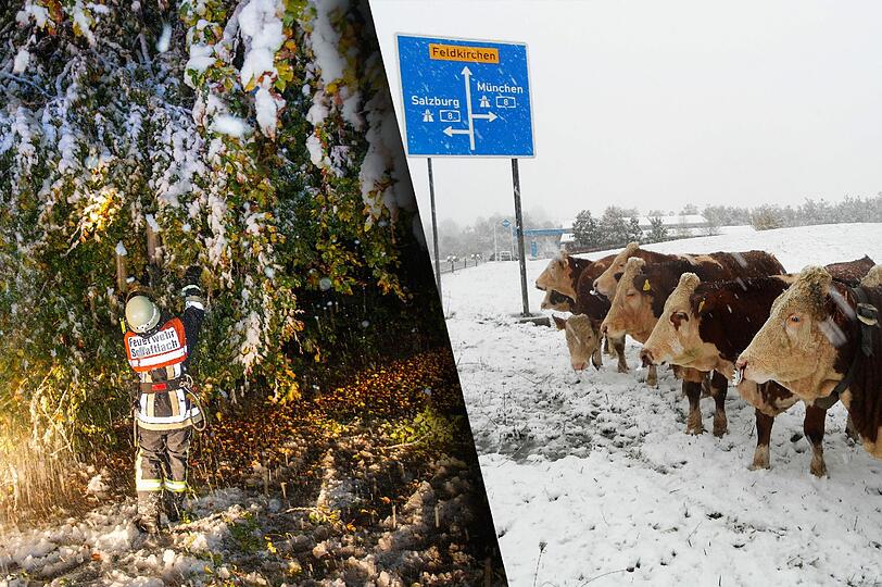 Der Winter gibt sein erstes Gastspiel in München und Bayern. Im Landkreis Garmisch-Partenkirchen fallen Schulen, Kindergärten und Kitas aus. Die Münchner S-Bahn wird vom Schneechaos lahm gelegt. Hier gibt's die Bilder vom Wintereinbruch!